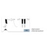 Karnasch HM SUPER bouw cirkelzaagblad 235×2,8/1,8x30mm 34 SWZ NL: 2-7-42 art. 111260235010